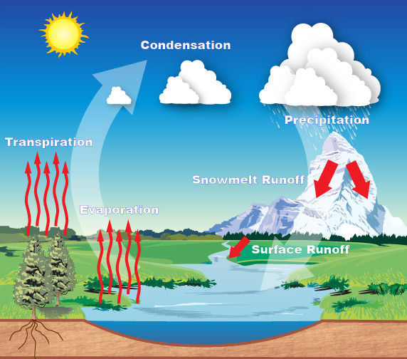 Hydrologic Cycle