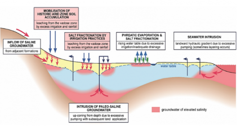 Processes leading to groundwater salinization (Foster et al., 2018)